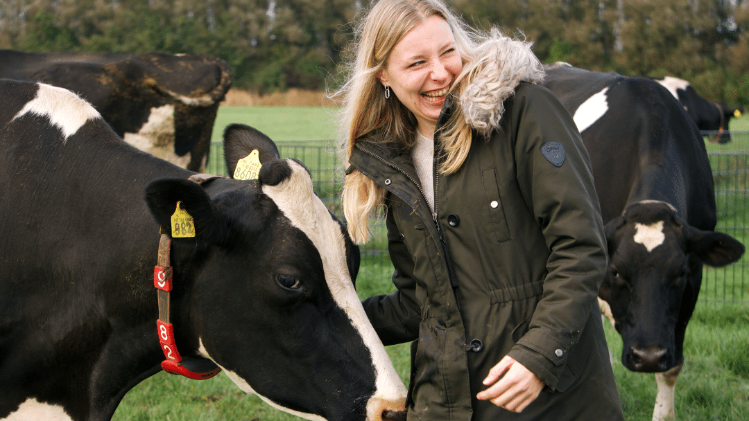 Adopteer een koe - Midden-Delfland