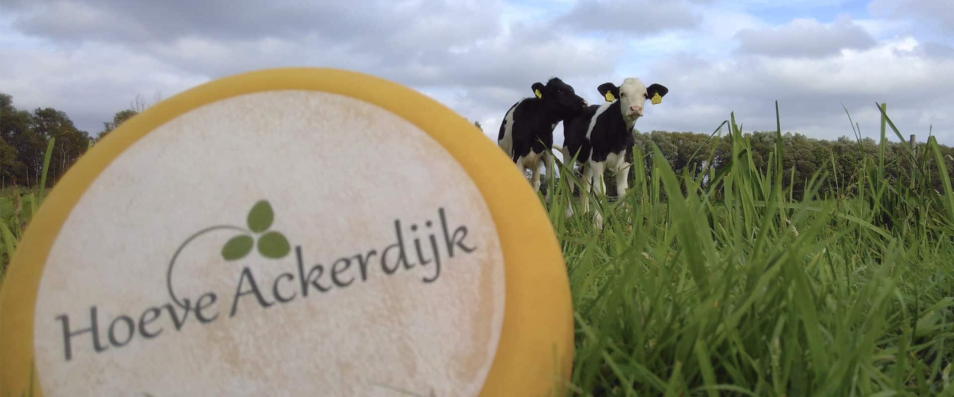 Hoeve Ackerdijk - kaas