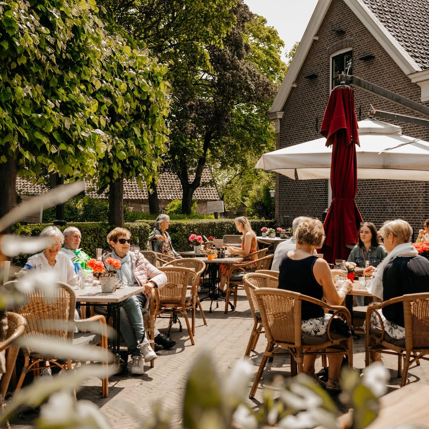 Koffiehuis de Hooiberg 't Woudt terras