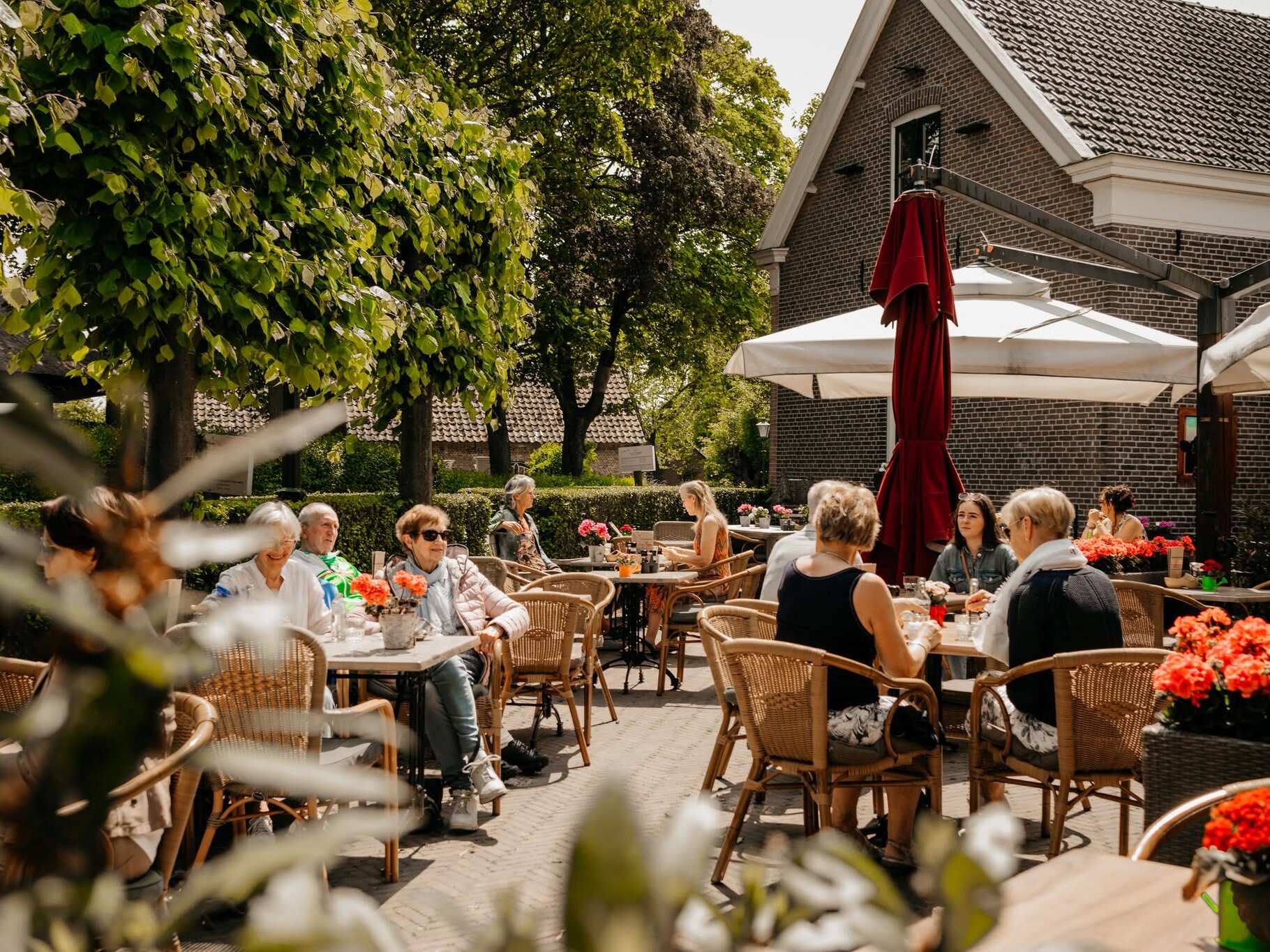 Koffiehuis de Hooiberg 't Woudt terras