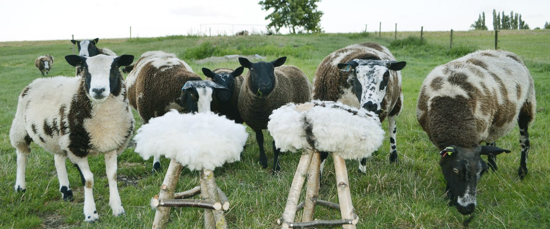 Hoogerbrugge Natuurlijk Midden Delfland