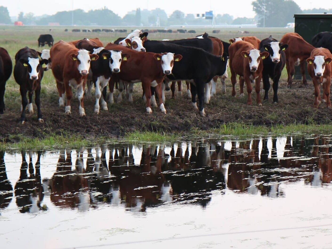 Hoeve Rust-hoff