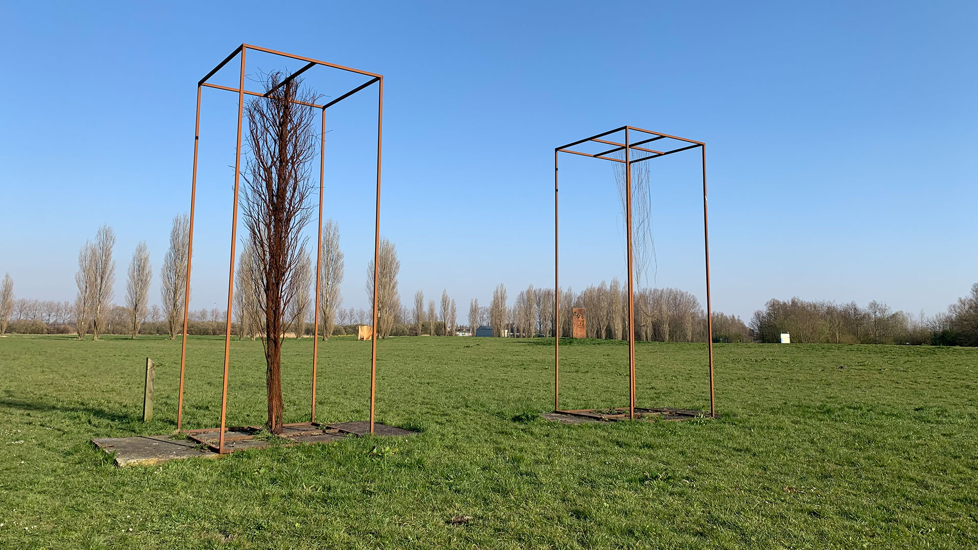 verroeste stalen frames met daarin een boom in het polderlandschap van Midden-Delfland bij kunst landschapspark Land Art Delft