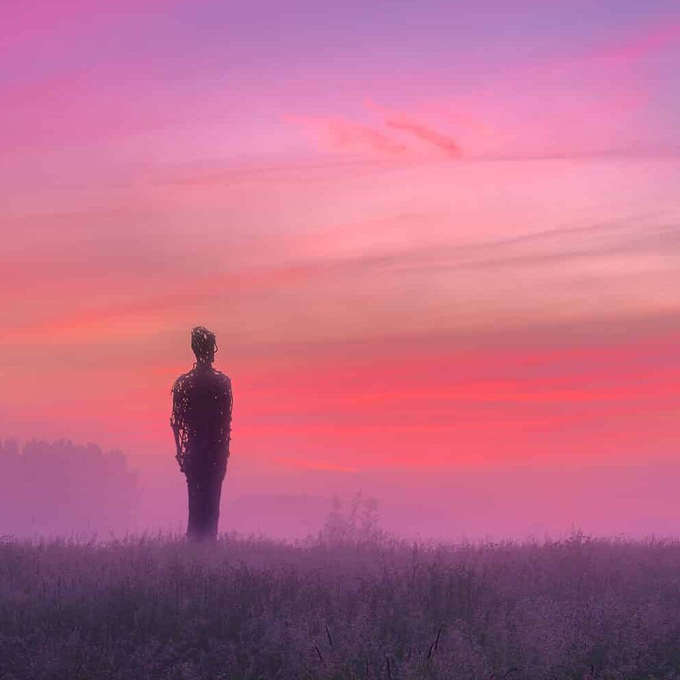 foto van het kunstwerk van Kouji Ohno in 't Kraaijenest in Midden-Delfland gemaakt van oude fietsonderdelen opgevist uit de grachten inn Delft bij avondrood