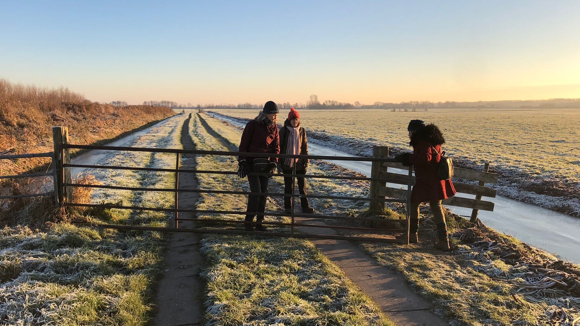 mijnkracht.nu monique wandlelcoach midden-delfland