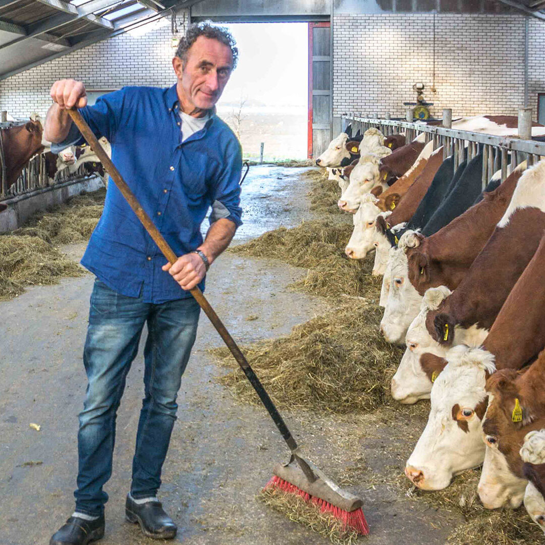 boer Arnold van Adrichem met bezem in de stal van zijn boerderij in Midden-Delfland maker