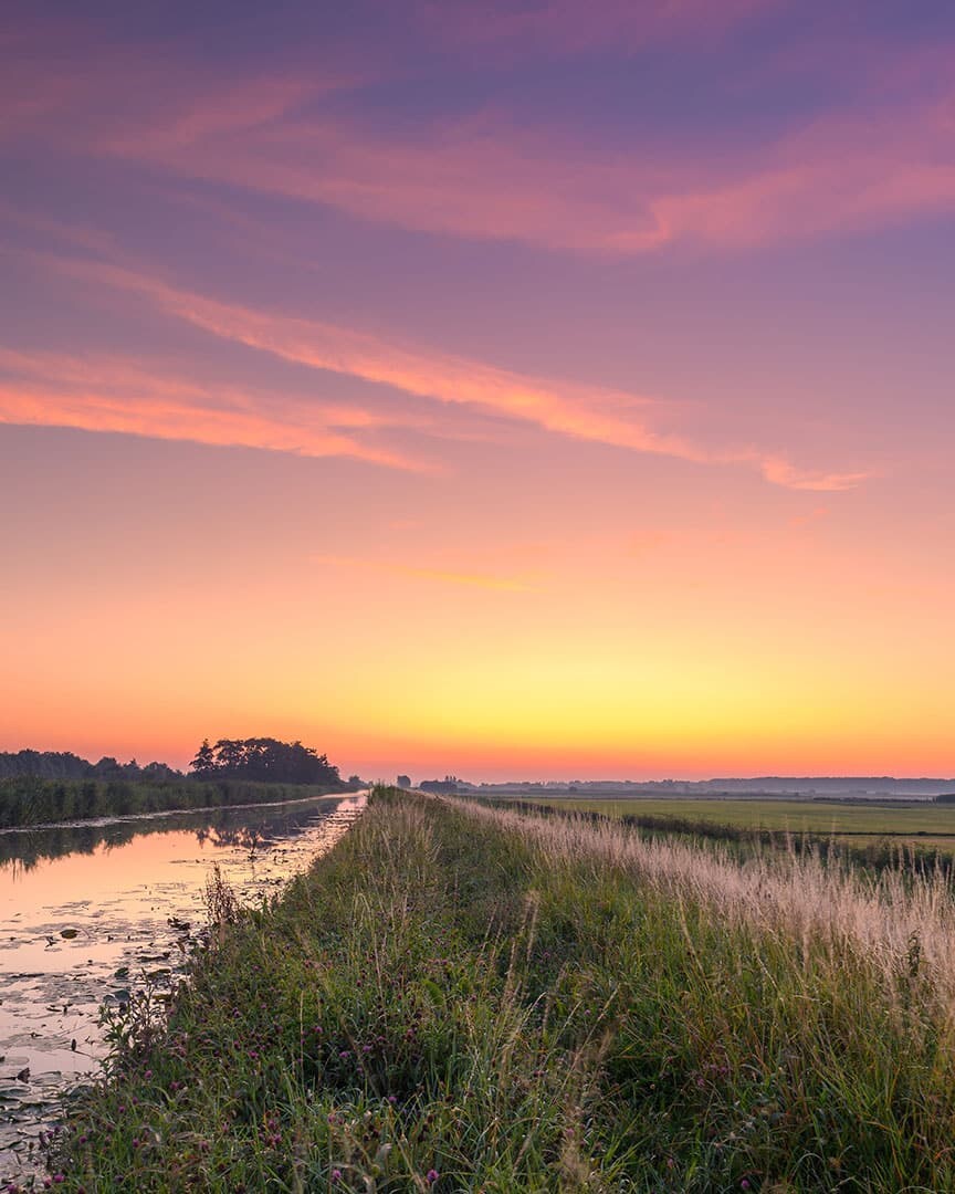 weiland in Midden-Delfland in de ochtendmist met opkomende zon en ochtendrood