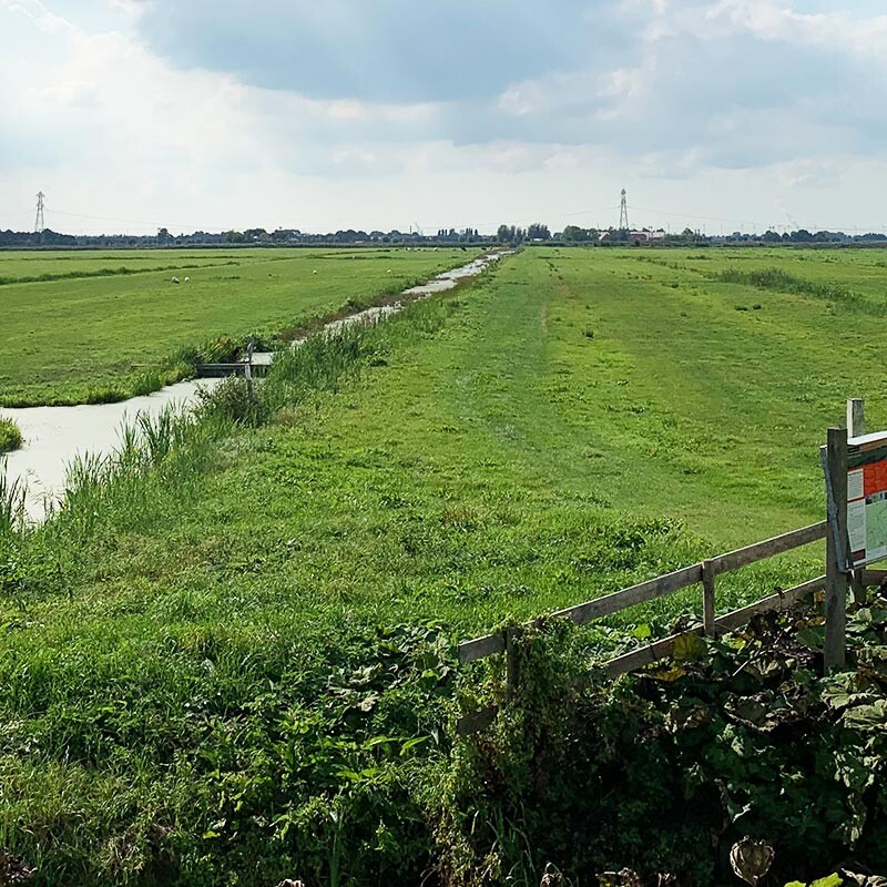 polderlandschap fietstocht stedelijk museum schiedam levend landschap marleen verbeek