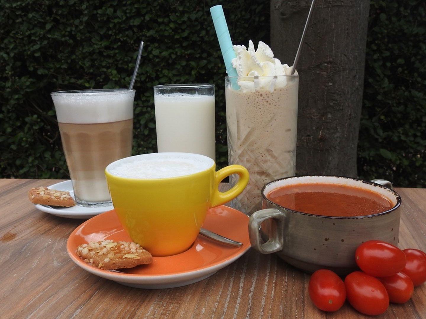 Robin van Vliet van koffiehuis de Hooiberg in Midden-Delfland koffies en tomatensoep op tafel met streekproducten uit Midden-Delfland