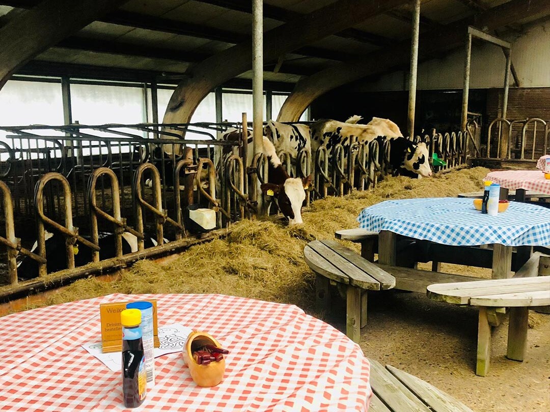 pannenkoeken eten in de stal