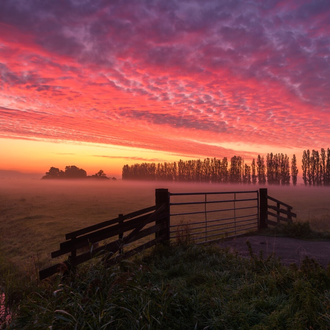 zonsopgang polder rode lucht