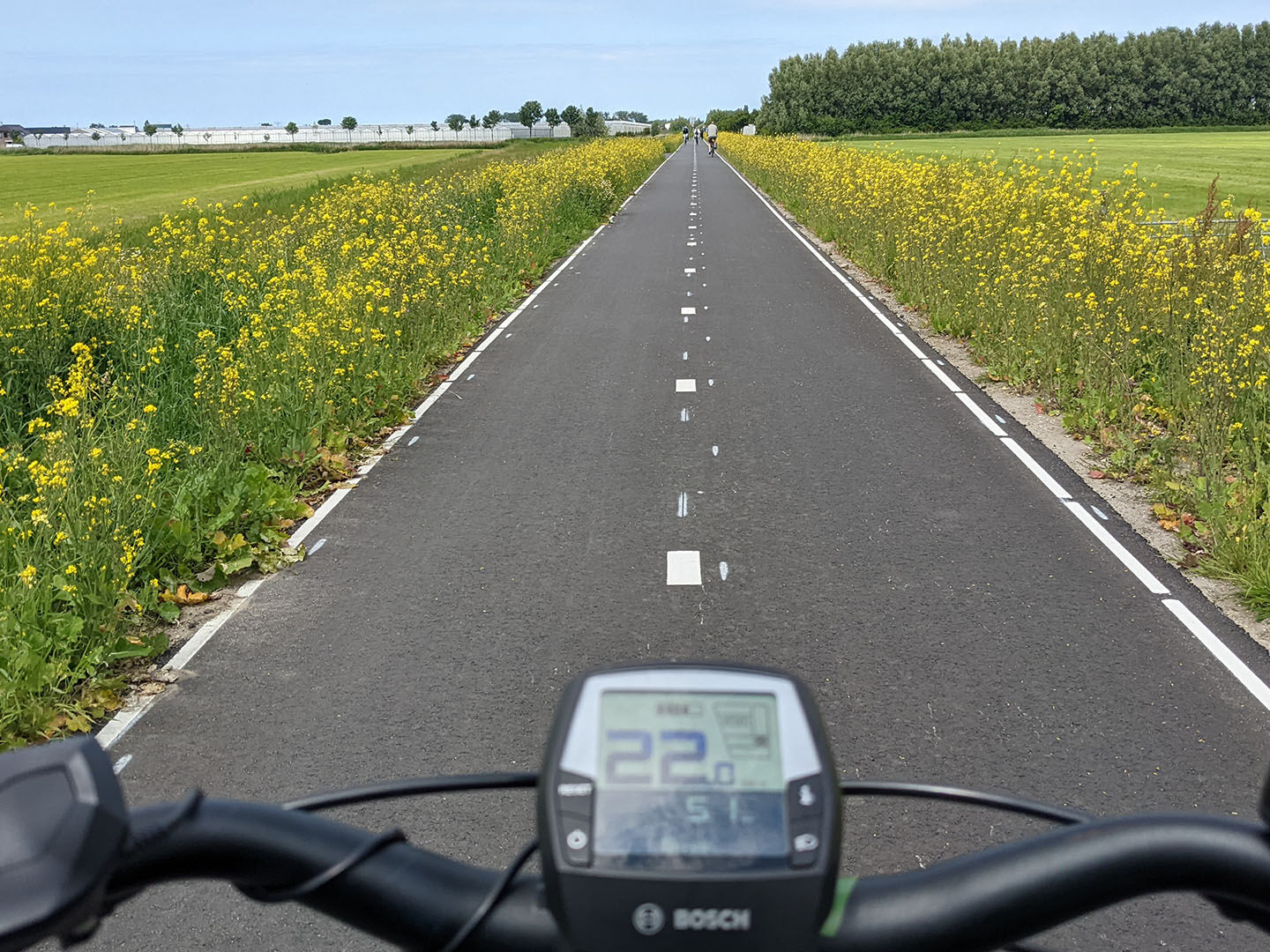 e-bike op het Karlingerpad fietspad in Maasland met het stuur van de e-bike in beeld op zwart asfalt met bloeiende gele bloemen langs de kant in Midden-Delfland