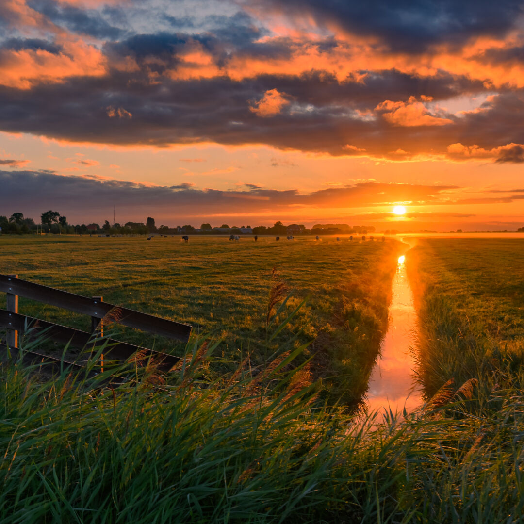 polderlandschap zonsopkomst weiland hek wolken midden-delfland