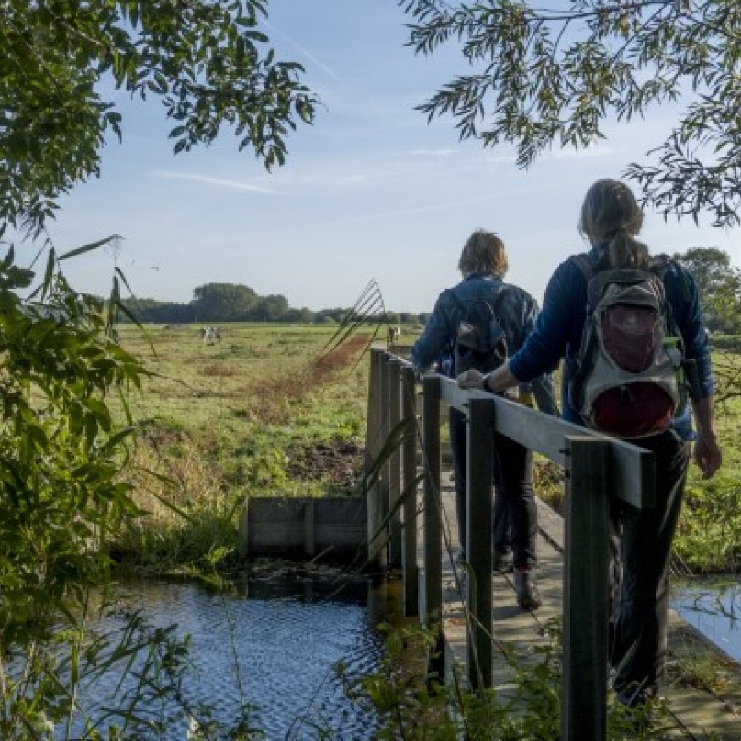 wandelaars in midden-delfland polder bruggetje