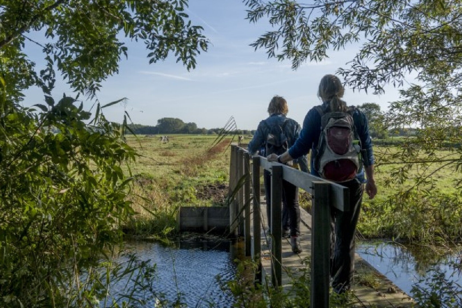 wandelaars in midden-delfland polder bruggetje