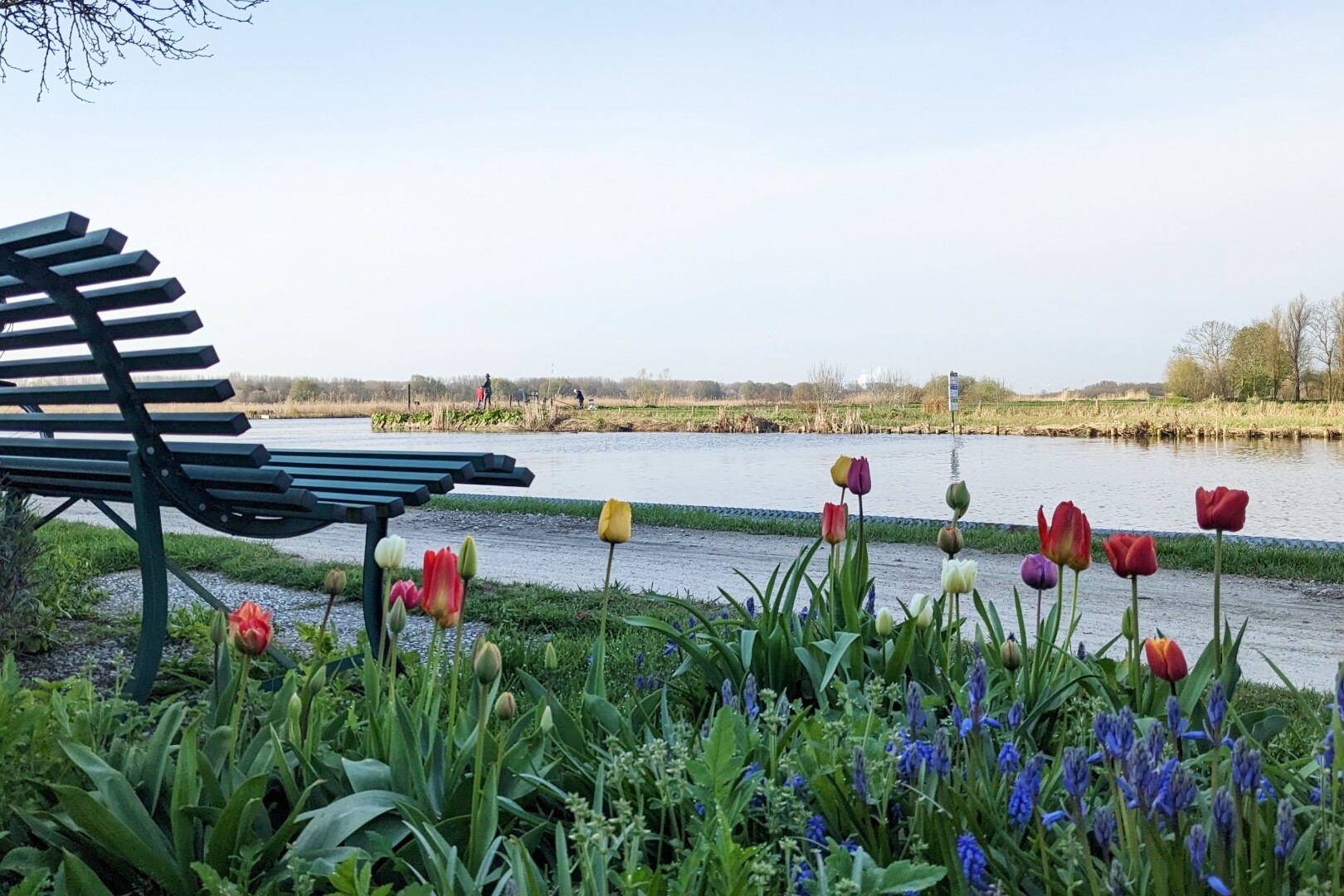 bankje bloemen tulpen lente vlaardingse vaart uitzicht polder