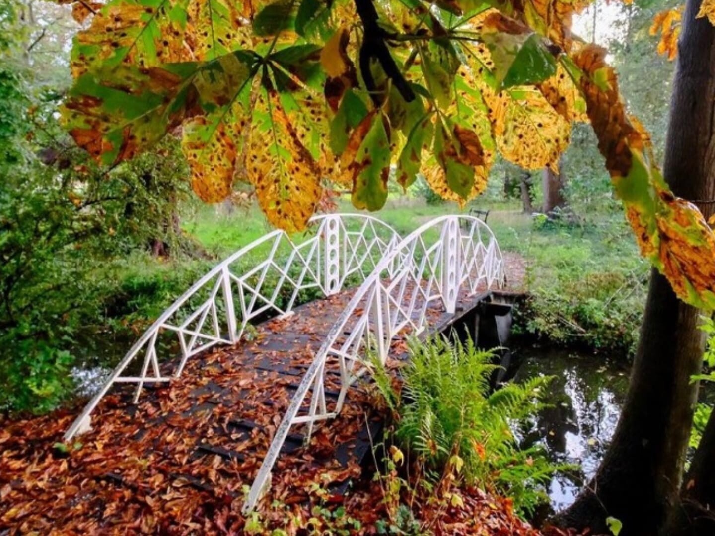 natuurmonumenten de tempel rotterdam buitenplaats herfstwandeling