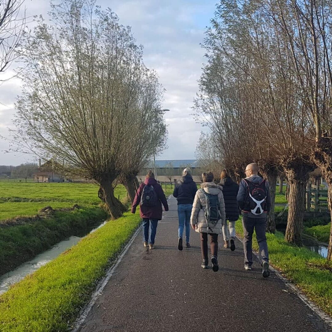 groepjes mensen wandelt mee met een inspiratiewandeling van Mijn Kracht.nu in de polder van Midden-Delfland