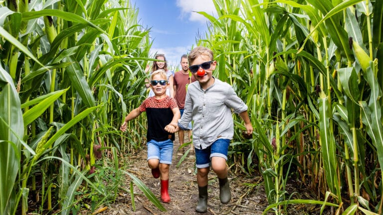 twee broertjes rennen door het maisdoolhof van Hoeve Bouwlust in Midden-Delfland op een zomerse dag