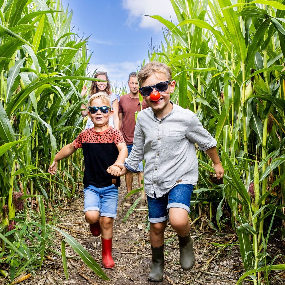 twee broertjes rennen door het maisdoolhof van Hoeve Bouwlust in Midden-Delfland op een zomerse dag