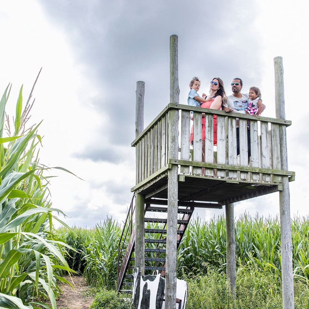 familie in uitkijktoren in maisdoolhof van Hoeve Bouwlust in Midden-Delfland