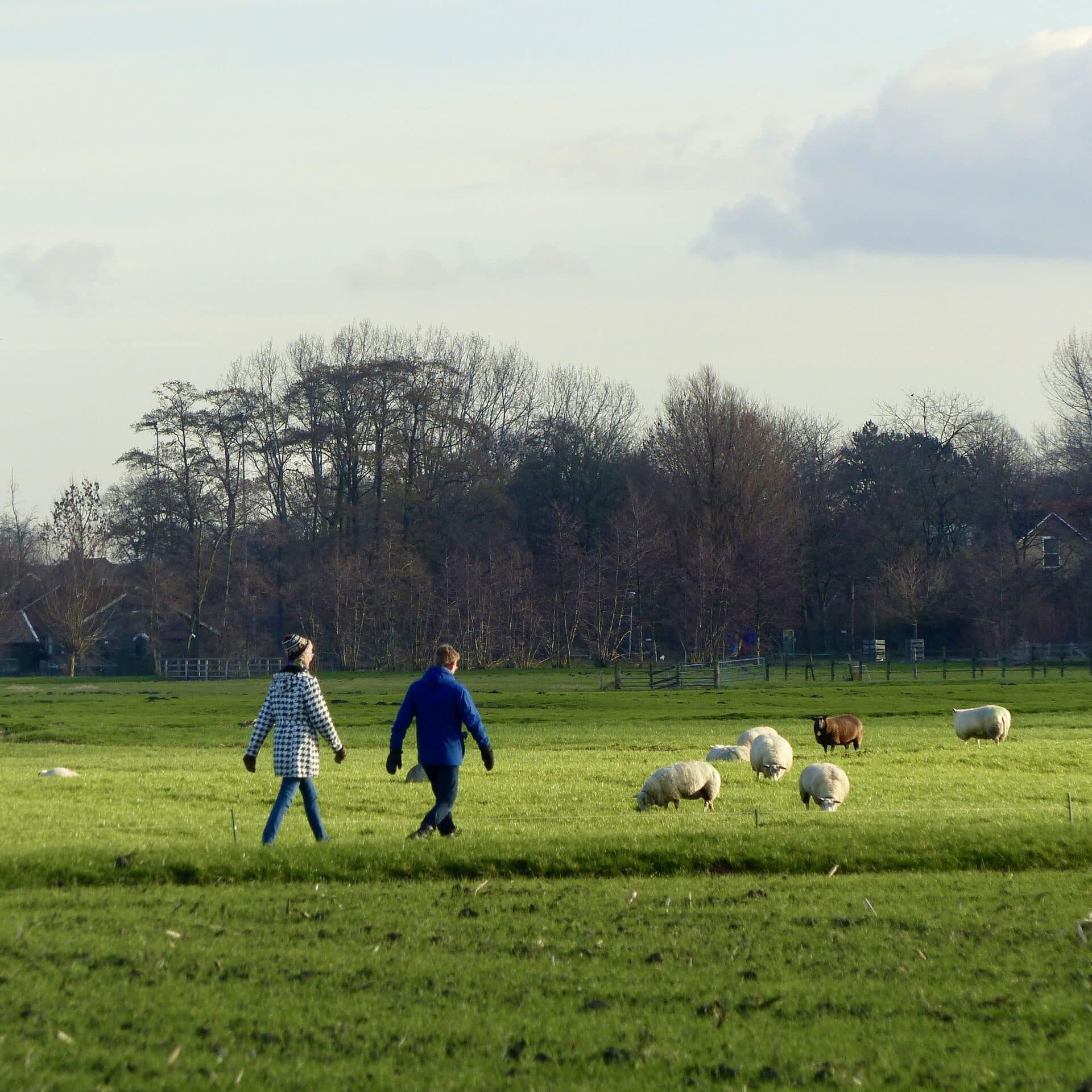 Vliegend Wandelpad