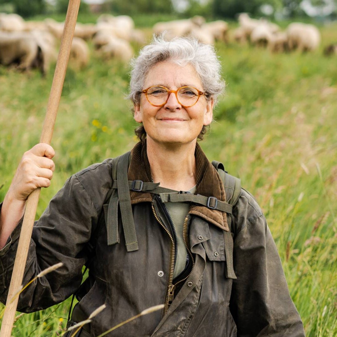 foto van Cora van Rossum van Leiderschapsparadox als schaapherder tussen de schapen van Schaapskudde Vockestaert