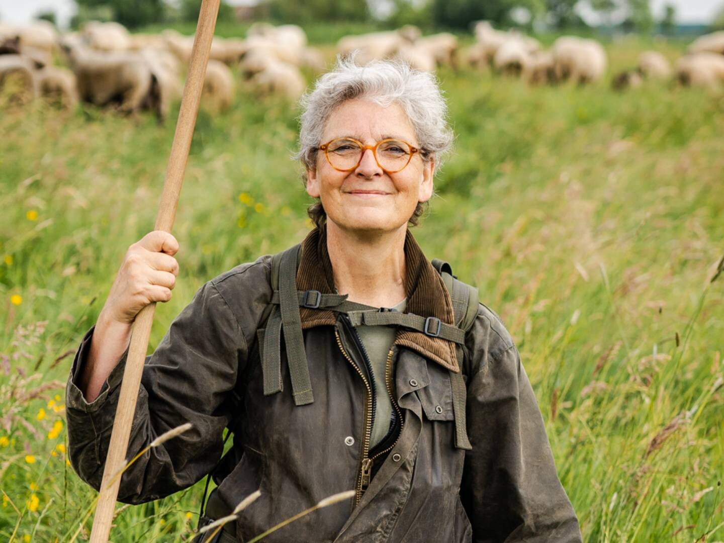 foto van Cora van Rossum van Leiderschapsparadox als schaapherder tussen de schapen van Schaapskudde Vockestaert