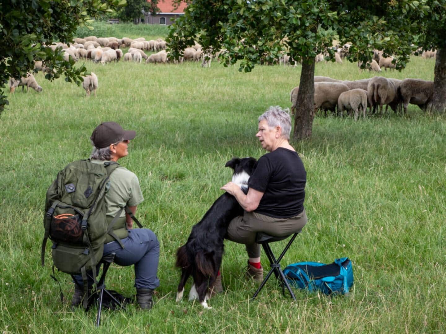 gesprek van Cora van Rossum met cursist midden tussen de schapen van Schaapskudde Vocketstaert in Midden-Delfland