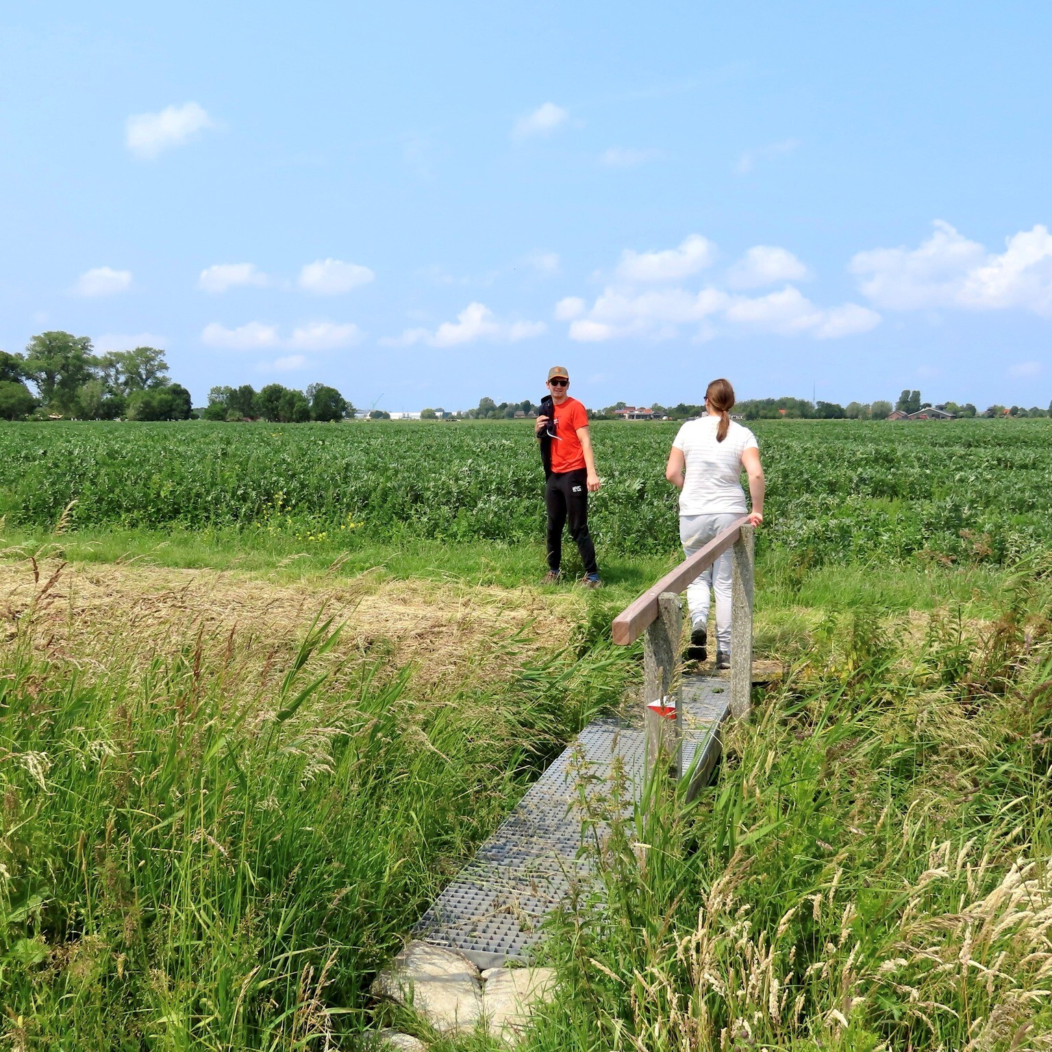 Vliegend Wandelpad Vockestaert