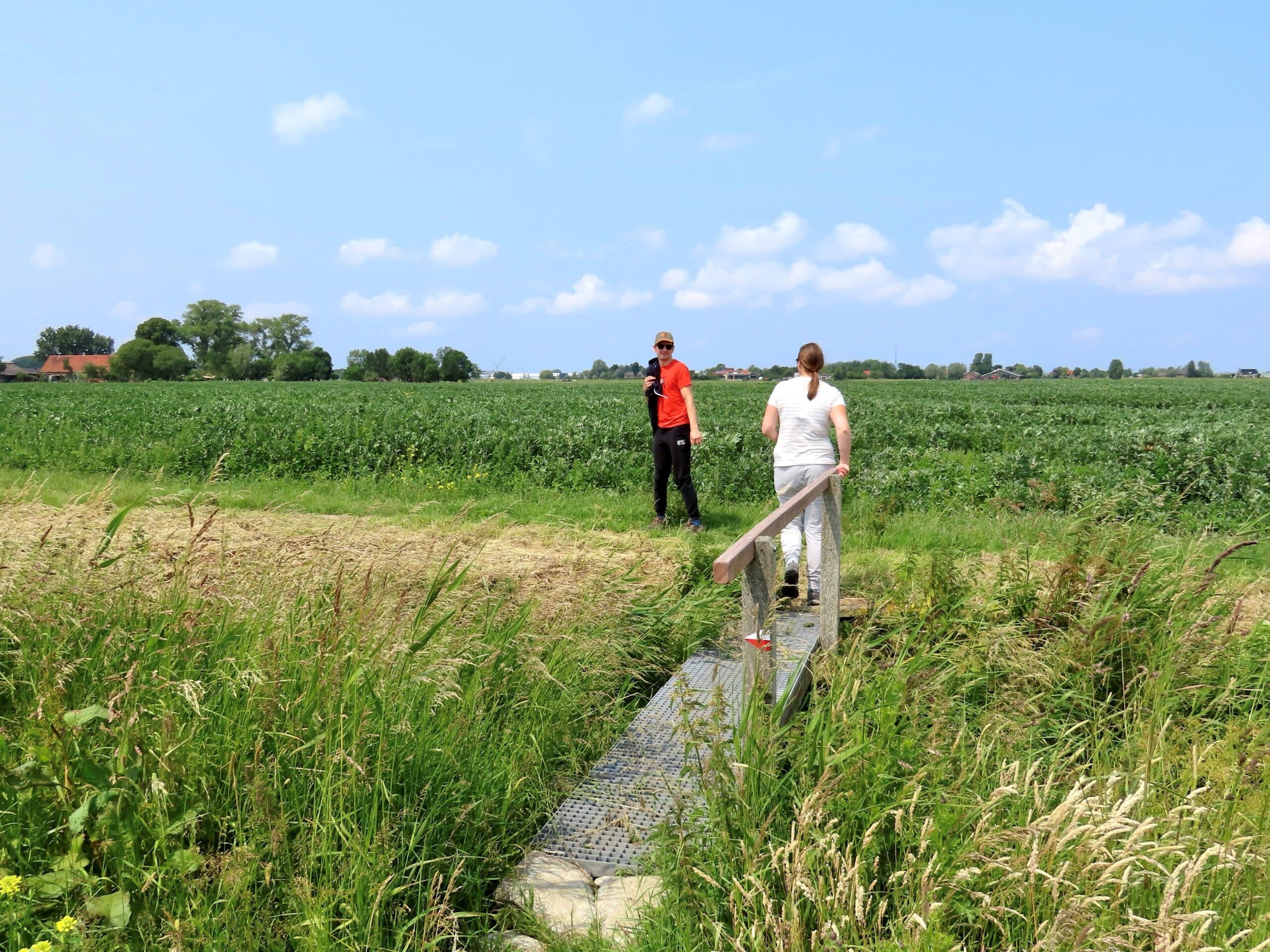 Vliegend Wandelpad 2025