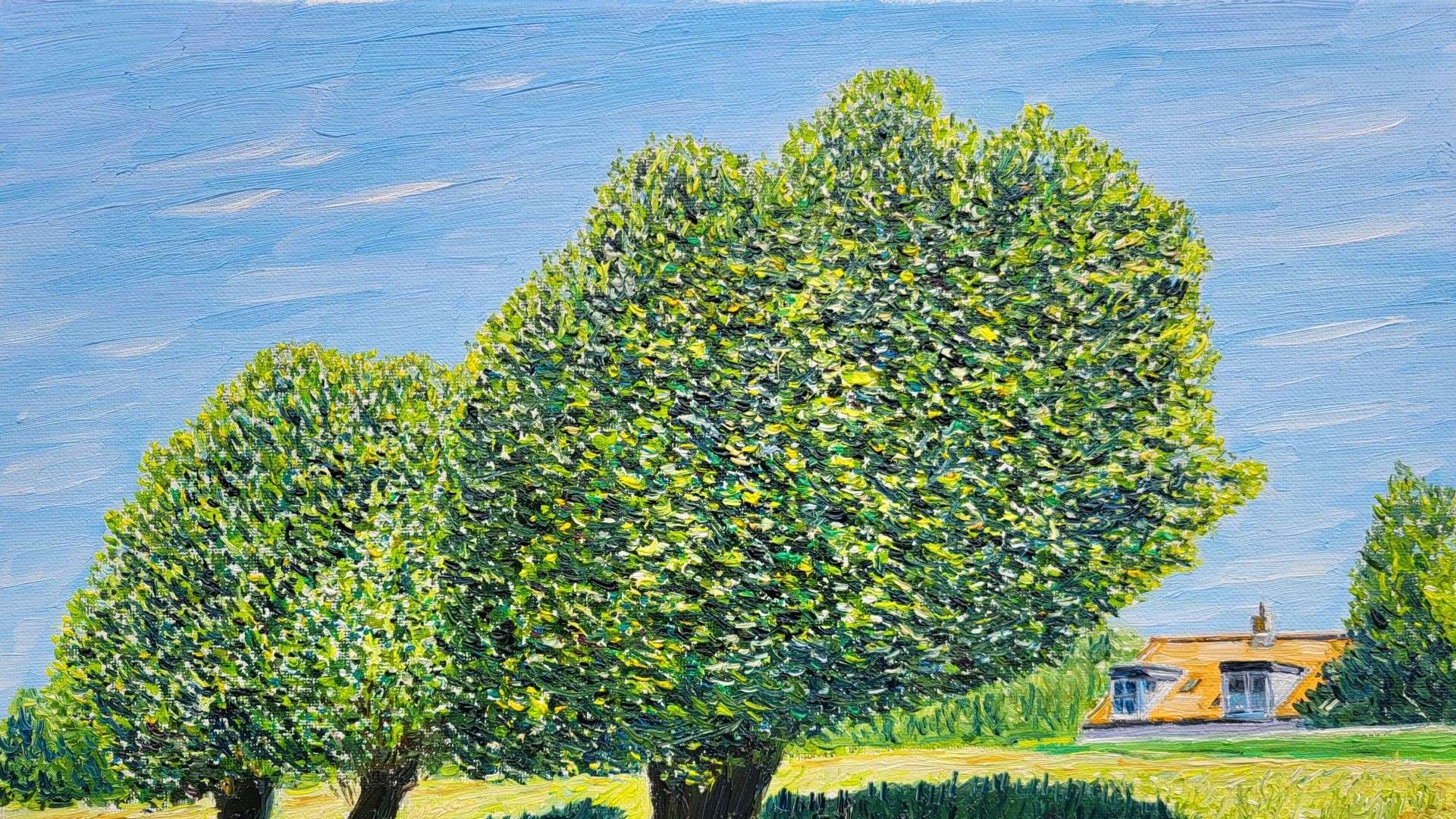 midden-delfland op z'n mooist