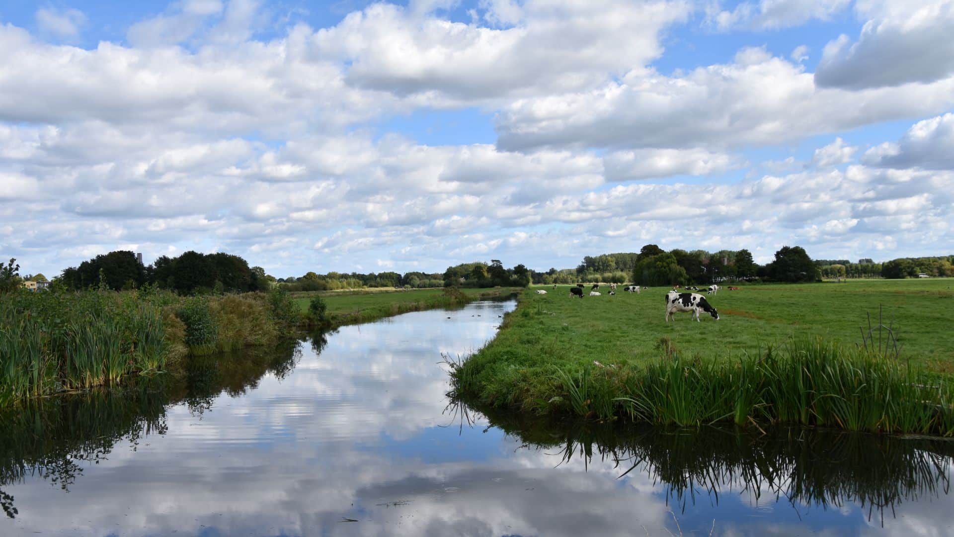 Midden-Delfland Vereniging