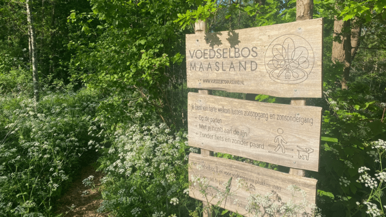 Voedselbos Maasland