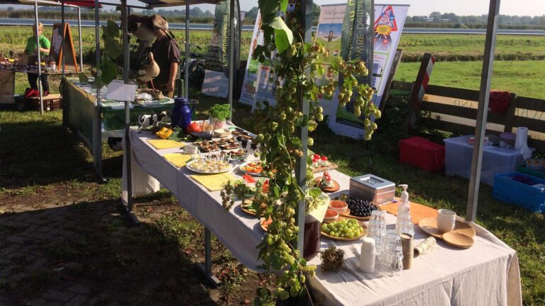Boerenoogstfeest