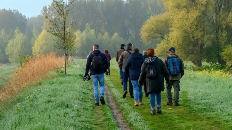 herfstwandeling broekpolder