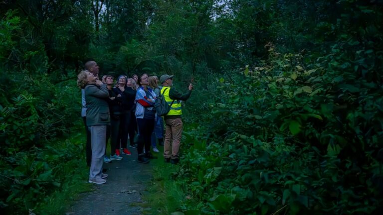 nacht van de nacht wandeling broekpolder